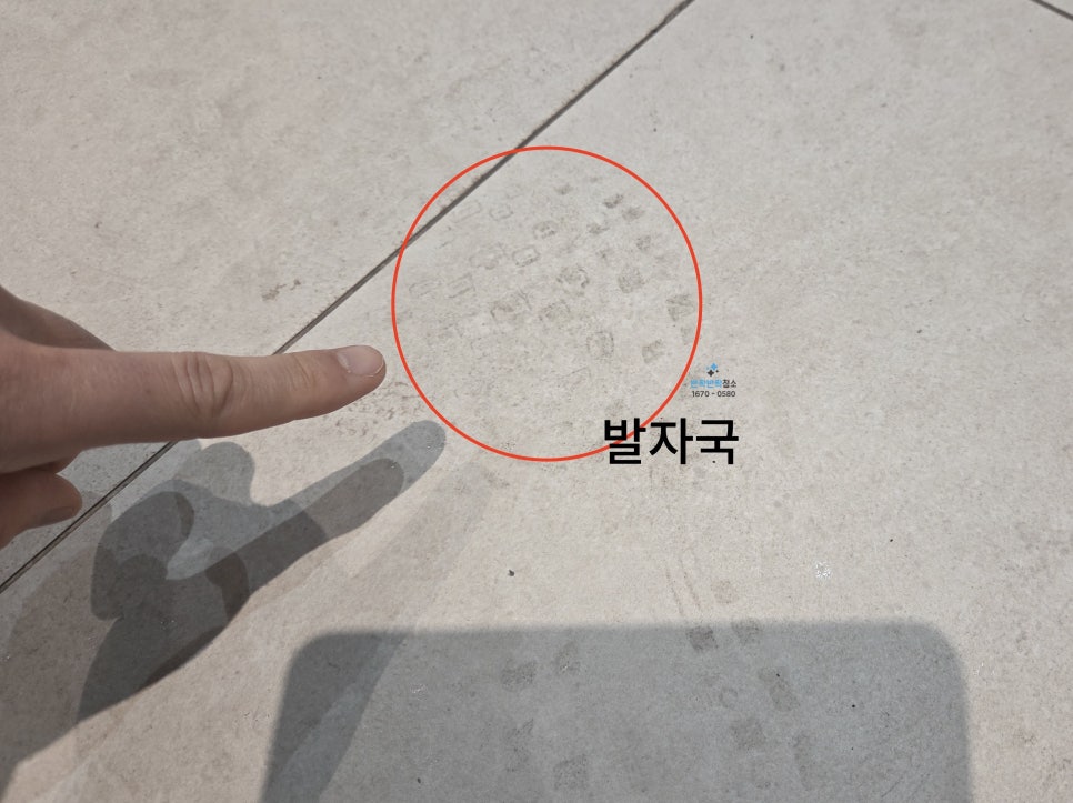 20250311_122147.jpg